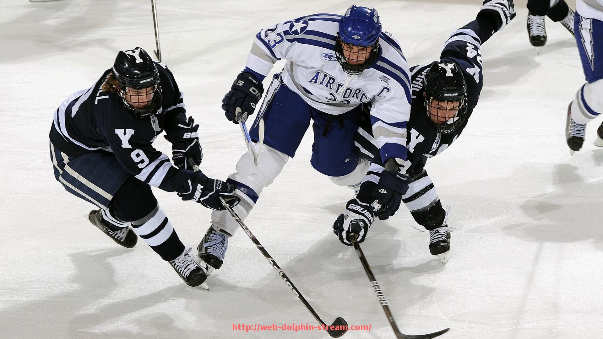 海豚直播-世俱杯赞助商合同谈判技巧的实战指导与提升