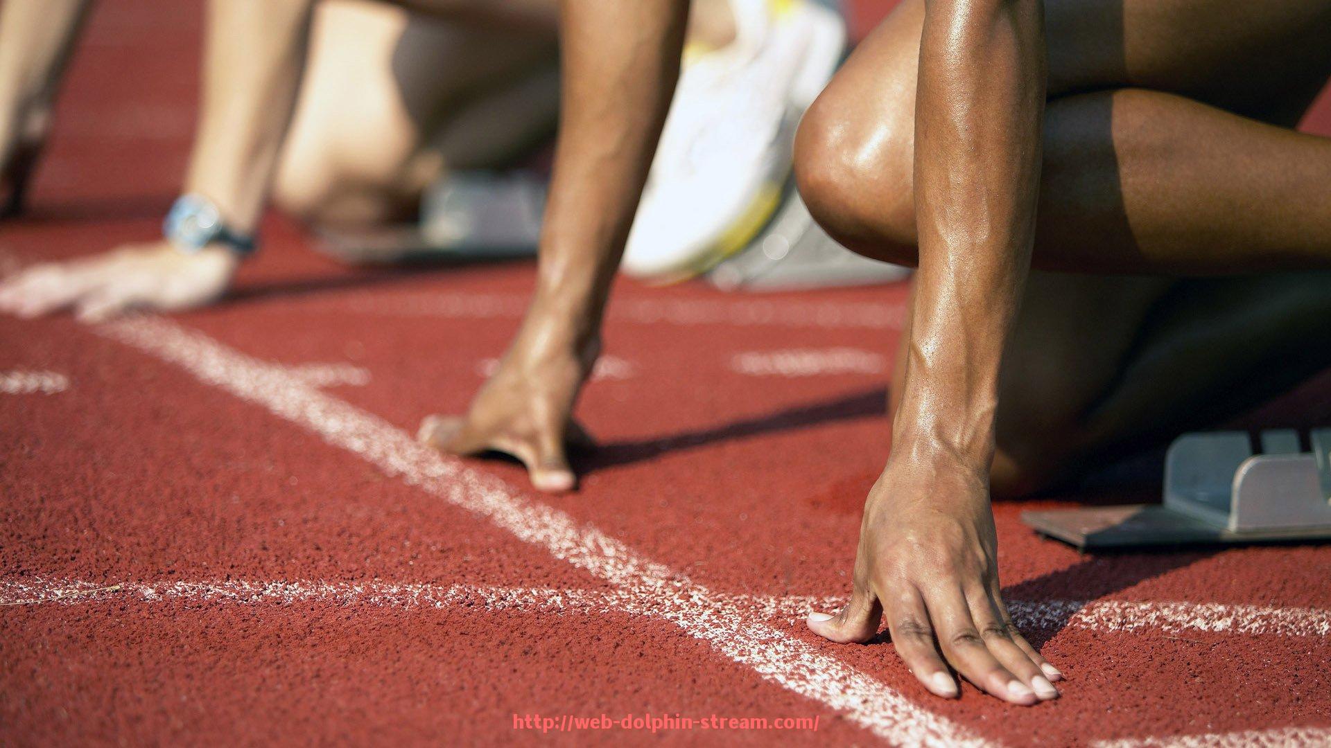 海豚直播-健身器材厂家哪家好？品牌口碑汇总