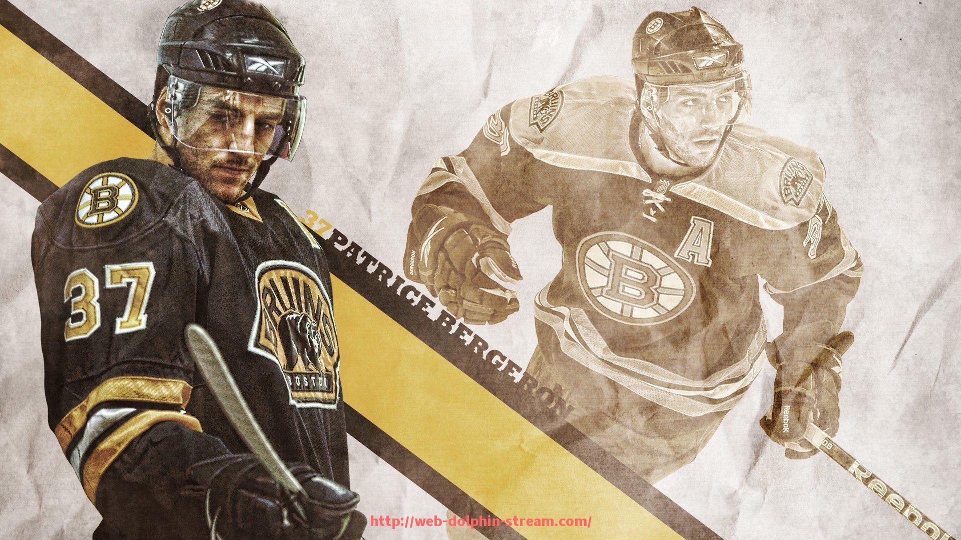 海豚直播-如何使用健身器材训练腰部？推荐几款有效锻炼腰部肌肉的器材