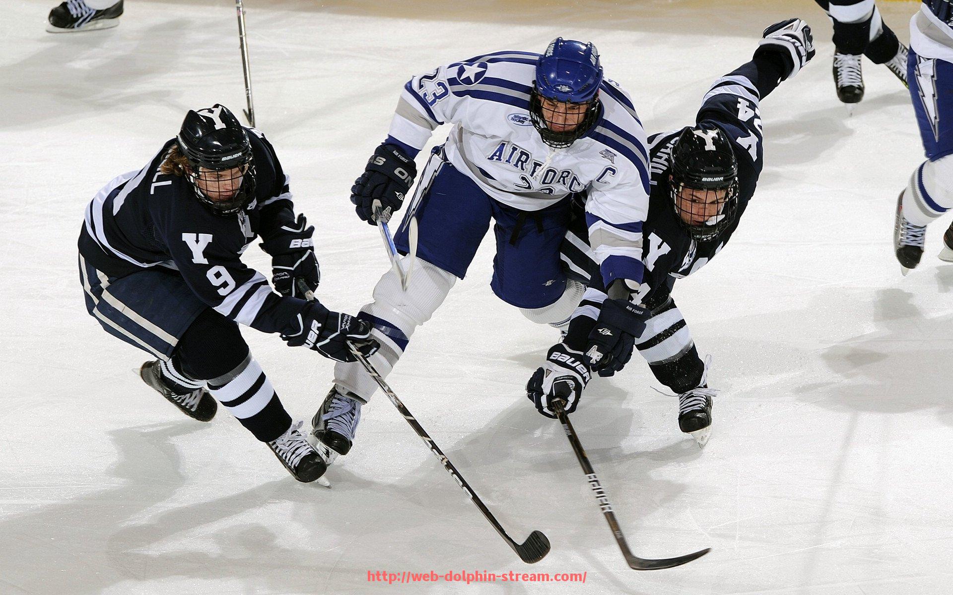 海豚直播-如何使用健身器材训练腰部？推荐几款有效锻炼腰部肌肉的器材